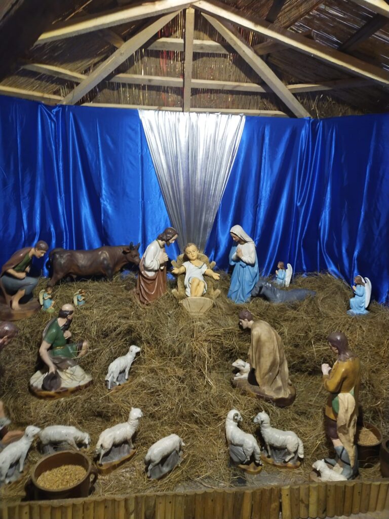 Szopka w kościele OO. Franciszkanów w Przemyslu