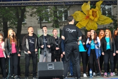 przemyskie pola nadziei (10)
