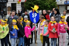 przemyskie pola nadziei (5)