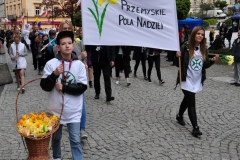 przemyskie pola nadziei (8)
