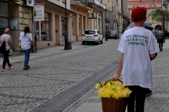 fot. Agata Czereba (29)